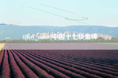 保山中国十七块金牌