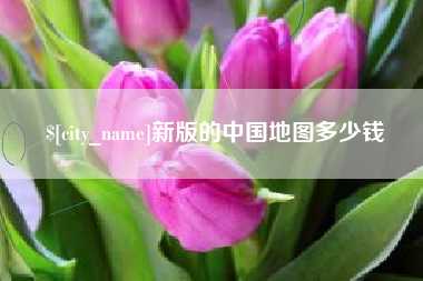 保山新版的中国地图多少钱