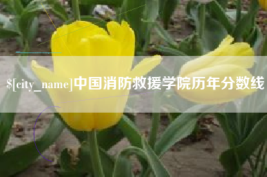 保山中国消防救援学院历年分数线