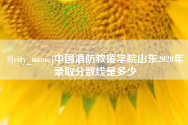 保山中国消防救援学院山东2020年录取分数线是多少