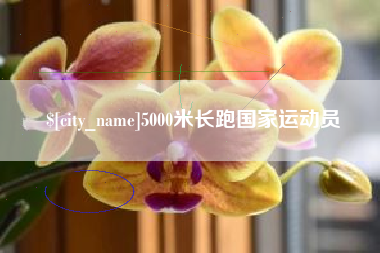 保山5000米长跑国家运动员