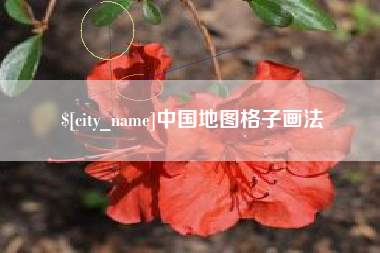 保山中国地图格子画法