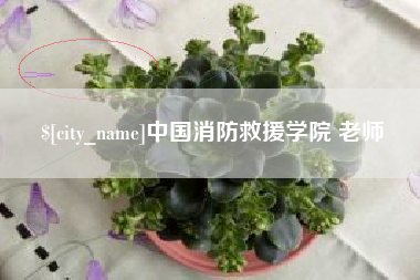 保山中国消防救援学院 老师