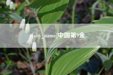 保山中国第9金