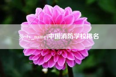 保山中国消防学校排名