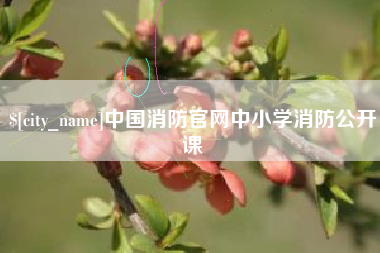 保山中国消防官网中小学消防公开课