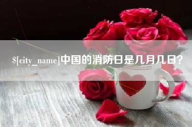 保山中国的消防日是几月几日？