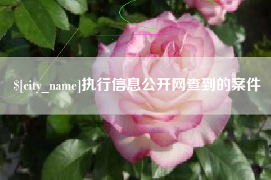 保山执行信息公开网查到的案件
