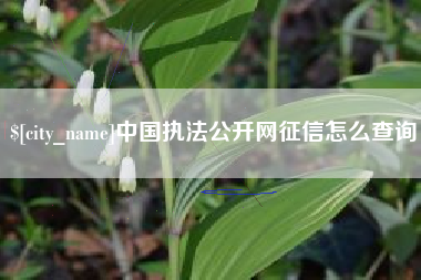 保山中国执法公开网征信怎么查询
