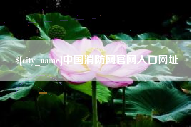 保山中国消防网官网入口网址