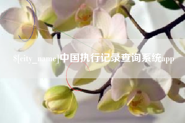 保山中国执行记录查询系统app
