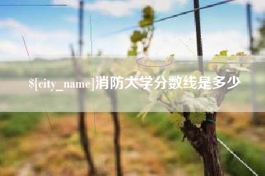 保山消防大学分数线是多少