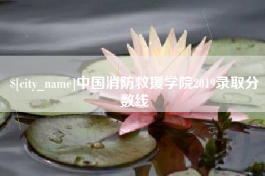 保山中国消防救援学院2019录取分数线