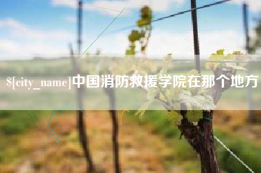 保山中国消防救援学院在那个地方