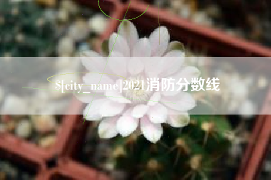 保山2021消防分数线