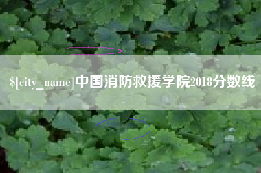 保山中国消防救援学院2018分数线