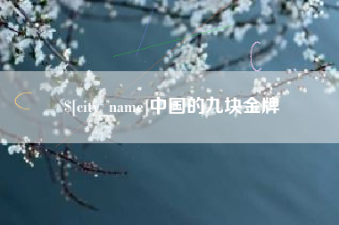 保山中国的九块金牌