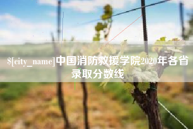 保山中国消防救援学院2020年各省录取分数线