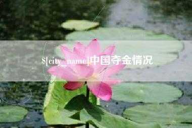 保山中国夺金情况