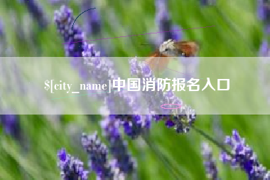 保山中国消防报名入口