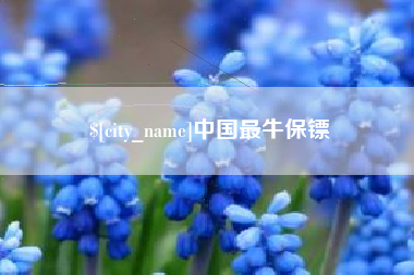 保山中国最牛保镖
