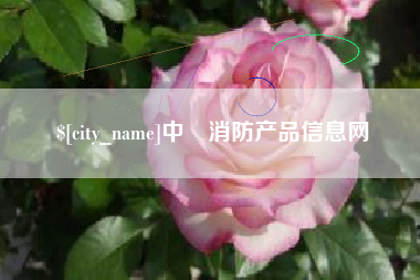 保山中囯消防产品信息网