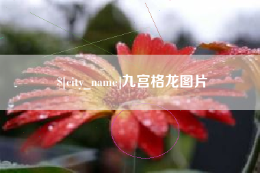 保山九宫格龙图片