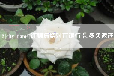 保山诈骗冻结对方银行卡,多久返还