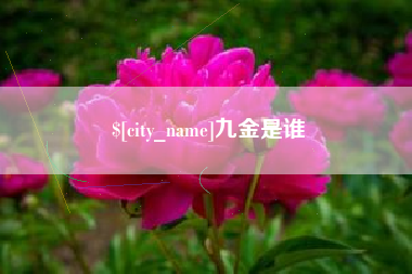 保山九金是谁