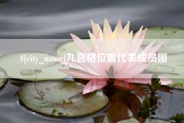 保山九宫格位置代表成员图