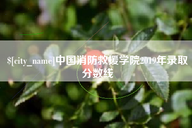 保山中国消防救援学院2019年录取分数线