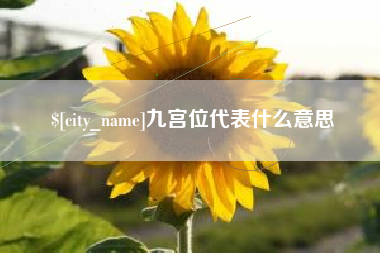 保山九宫位代表什么意思