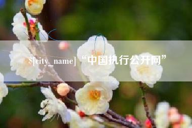 保山“中国执行公开网”