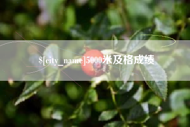 保山5000米及格成绩