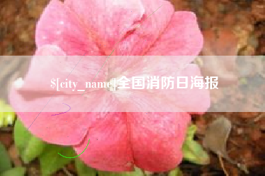 保山全国消防日海报