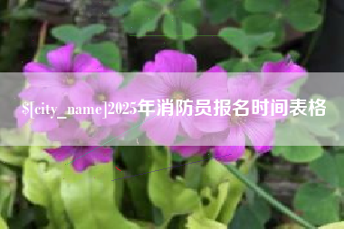 保山2025年消防员报名时间表格