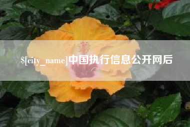 保山中国执行信息公开网后
