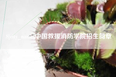 保山中国救援消防学院招生简章