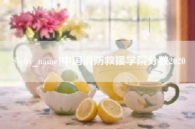 保山中国消防救援学院分数2020