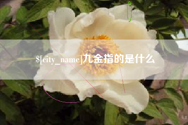 保山九金指的是什么