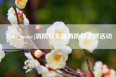 保山消防日全国消防日主题活动