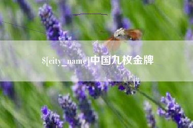 保山中国九枚金牌