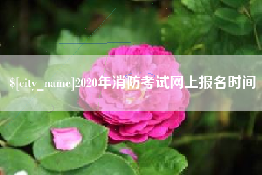 保山2020年消防考试网上报名时间