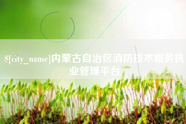 保山内蒙古自治区消防技术服务执业管理平台