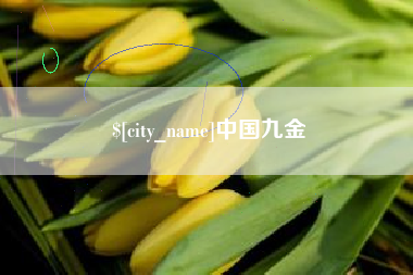 保山中国九金