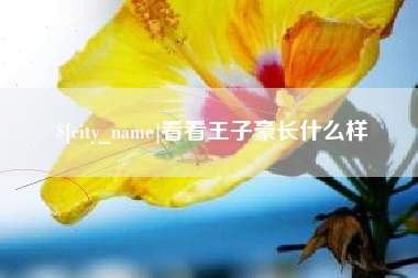 保山看看王子豪长什么样