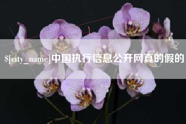 保山中国执行信息公开网真的假的