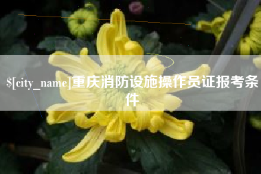 保山重庆消防设施操作员证报考条件