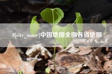 保山中国地图全图各省地图