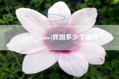 保山我国多少个金牌